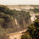 Understanding the Role of Tourism in Conservation