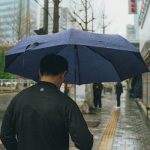 How to Use Local Buses for City Exploration