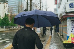 How to Use Local Buses for City Exploration