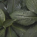 Simple Ways to Make History Come Alive for Students