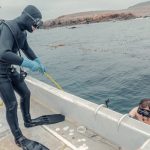 Exploring the World of Off-Roading: Gear and Safety Essentials