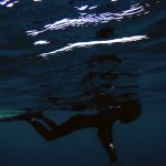 A Deep Dive into the Principles of Digital Signal Processing