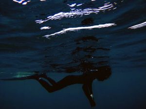 A Deep Dive into the Principles of Digital Signal Processing