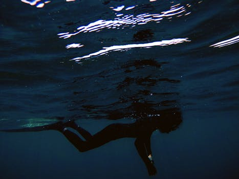 A Deep Dive into the Principles of Digital Signal Processing