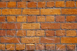 Building a Strong Foundation in Digital Citizenship Skills