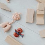 The Importance of Vetting Educational Toys for Safety